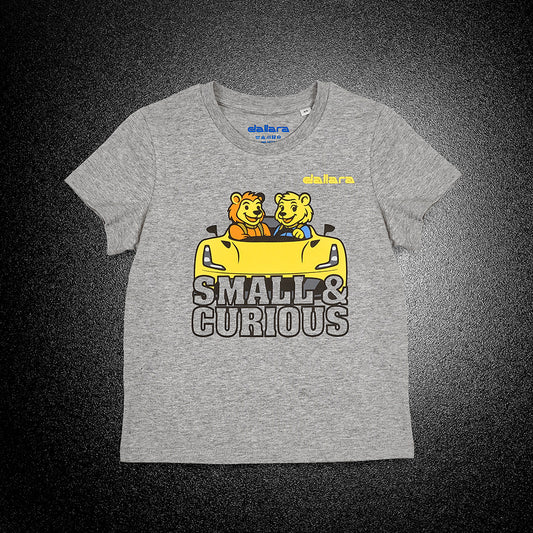 Lion on the road Junior T-shirt 